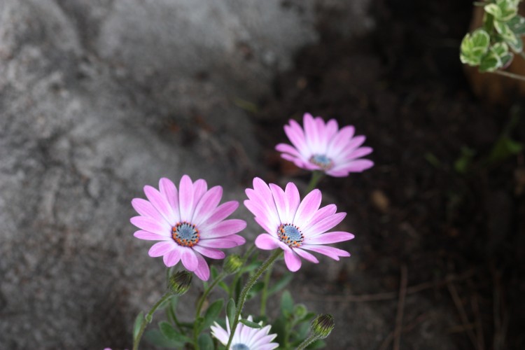 18fc05cca7d4198be5c6ee67e1eae97e_1681088264_3249.JPG