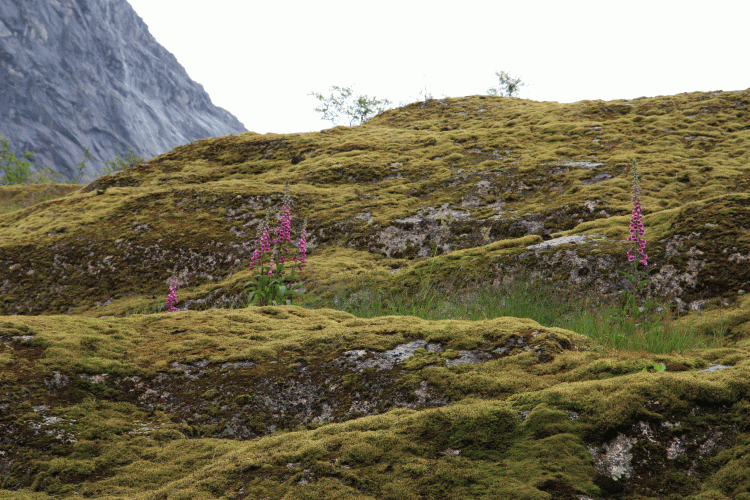 915e09a236a4bf0595e19b077c76ac8d_1693436317_0672.gif